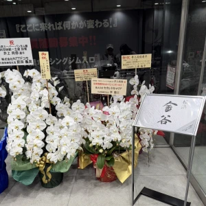 ましろ出勤🦖🐾の写真1枚目