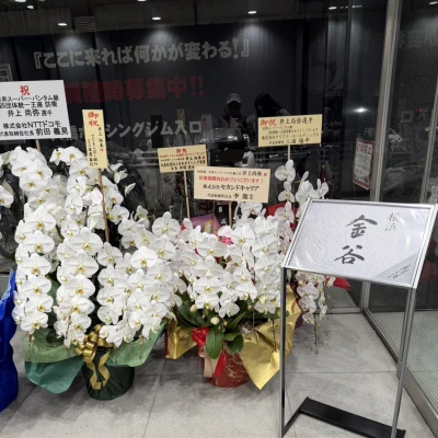 ましろ出勤🦖🐾