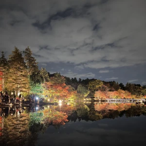 <p>こんばんは！！！るなです❣️<br>お友達と自然感じたくて<br>紅葉🍁見に行ってきました😳😳<br>めちゃくちゃ綺麗で心浄化されました🙂‍↕️<br>今の時期しか...の写真1枚目