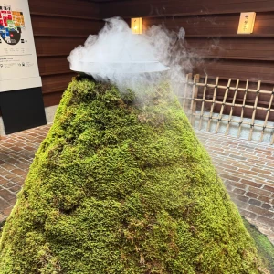 こんばんは✨の写真2枚目