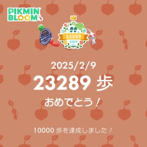 2/15の写真1枚目