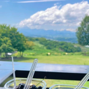 今日友達とさくらんぼ狩り行ってきた☺️の写真1枚目