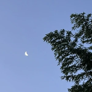 6/22(日) 21時からいます🧜‍♀️の写真1枚目