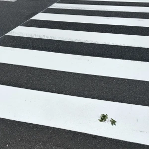 こんにちは〜！ミナです‪·͜· ❤︎‬の写真1枚目