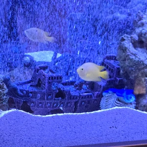 タイムライン: 06月01日 23:59の写真3枚目