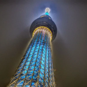 雨だからこそ☂の写真1枚目