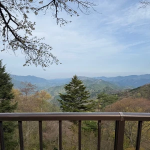 自然の写真1枚目