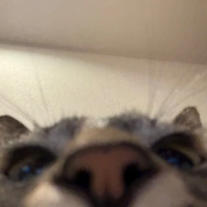 人生最後の冬休み🥹🥹🥹の写真1枚目