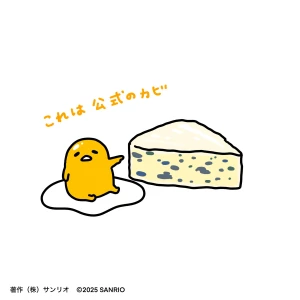 こんばんは！みおんです🤍🐰🤍の写真1枚目