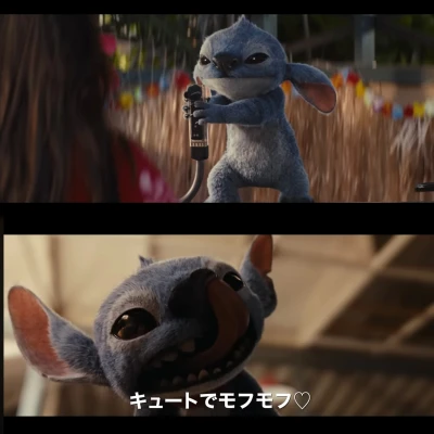コハクです🐉‎🤍