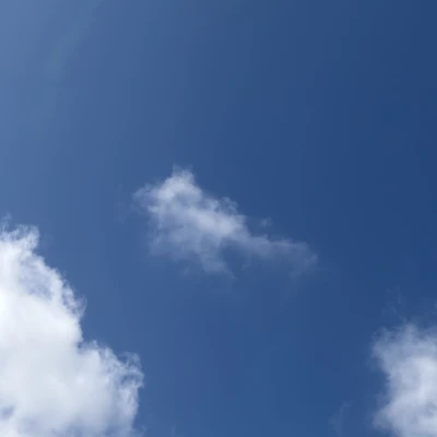 こんにちわんわんᐡ,,ò ·̫ ó,,ᐡ