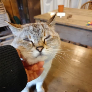 先日もありがとう♡の写真1枚目