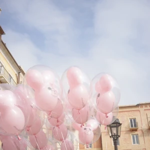 みなですの写真1枚目