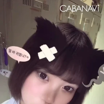 出勤したよん