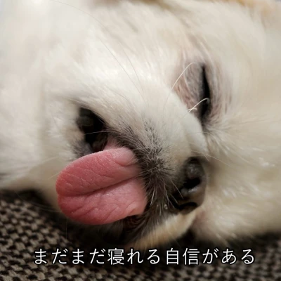 こんにちわん！みゆです☀️🤍