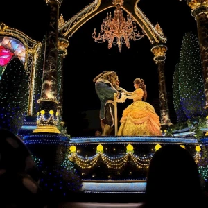 12/28の写真1枚目