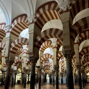 こんばんは✨の写真1枚目