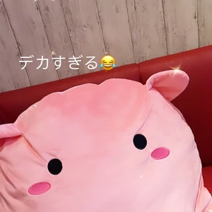 なつです:(っ`ω´c):の写真1枚目