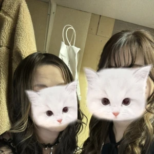 こんばんは🌙の写真1枚目