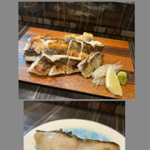昨日も会いに来てくれたお客様の写真3枚目