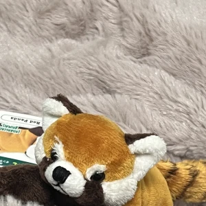 花粉症の写真1枚目