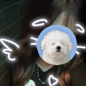 うなちゃん20:30から出勤してます🌷🌟の写真1枚目