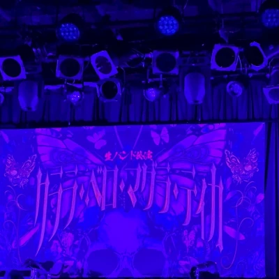 🐱ྀི8.4🐱ྀི