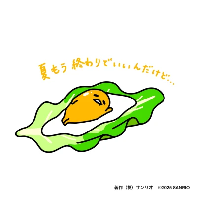 みおんです🫧🤍こんばんは！