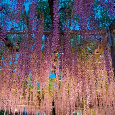 こんばんは🥂💫