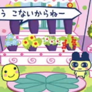 こんばんは~の写真1枚目