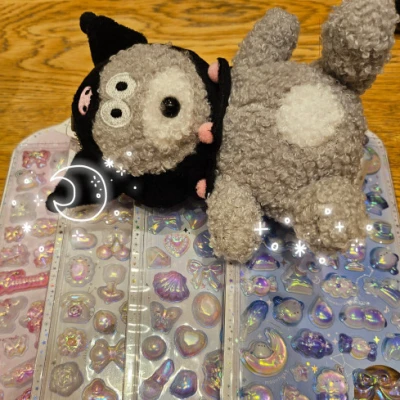 リカです。