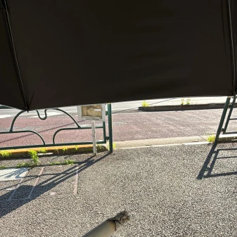 土曜日も実習🤍
