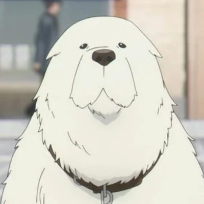 うちのわんこは