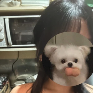 たかはしたかしだがしかし！！私と一緒に合唱しにきて🎵の写真1枚目
