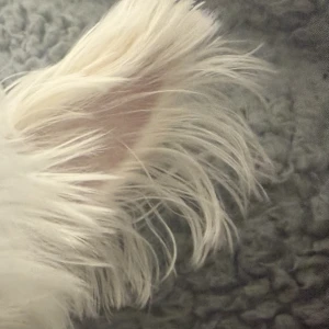 4/19の写真1枚目