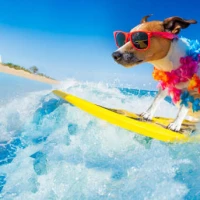 メール投稿の写真2枚目