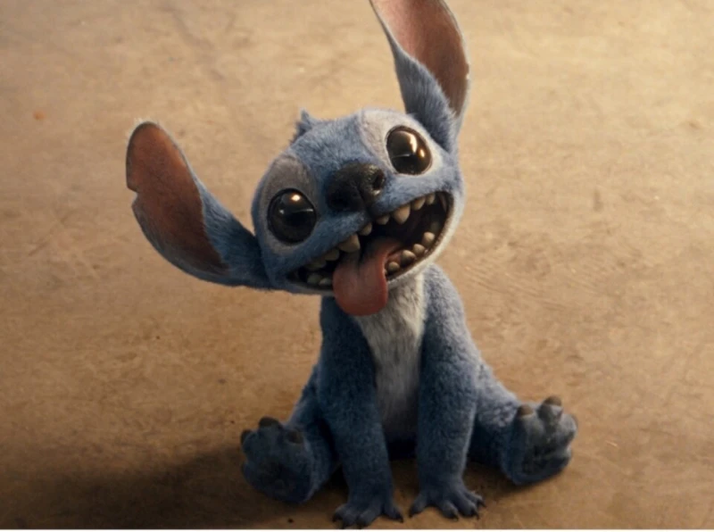 🍳𝙁𝙧𝙞𝙙𝙖𝙮🍤