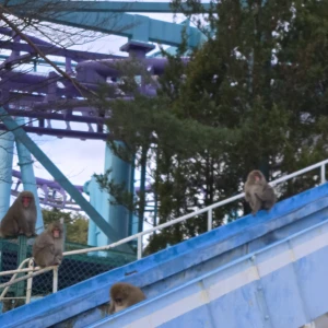 お久しゅうございますの写真1枚目