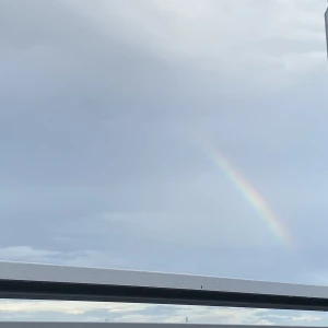 9月9日の写真1枚目