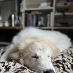 こんばんは！の写真1枚目