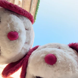 こんばんは🫶の写真1枚目