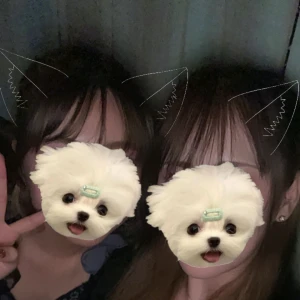 こんばんは🌙の写真1枚目