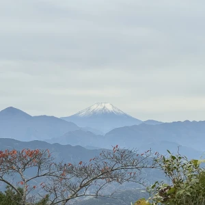 こんばんは✨の写真2枚目