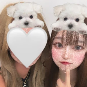 こんばん🐶の写真1枚目