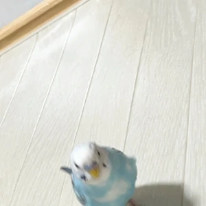 7/16①の写真1枚目