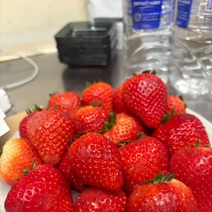 出勤の写真1枚目