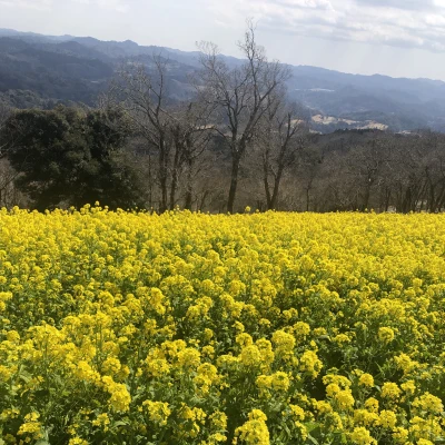 おはようございます☀のあです◡̈♥︎