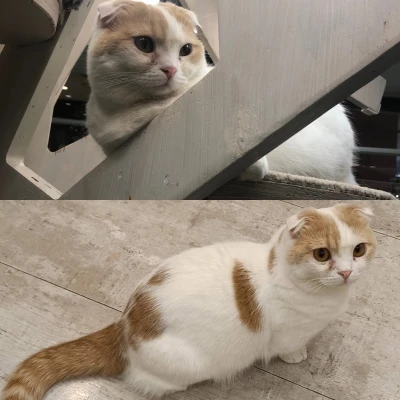 本日出勤してます！