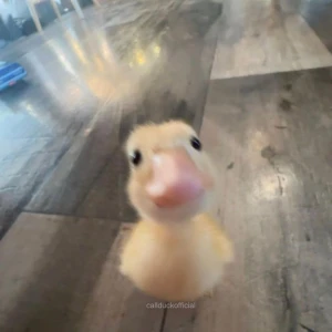 きんたまキラキラ金曜日👐✨の写真1枚目