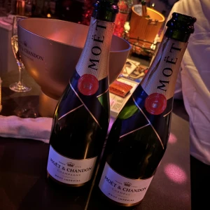 今日は犬のトリミングで早起き𓂃🫧‪の写真1枚目